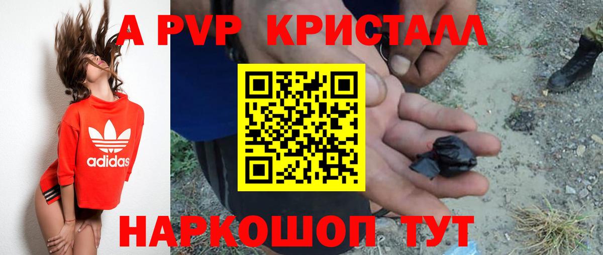 Alfa_PVP СК КРИС  Вход с VPN  Alpha-PVP СК КРИС  Сунжа 