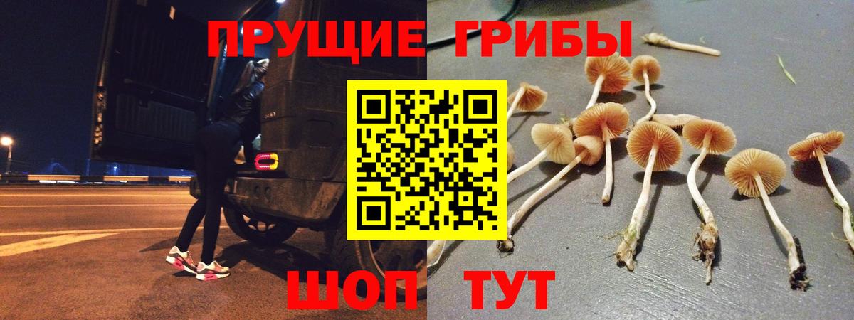 Сунжа  Галлюциногенные грибы мицелий  как найти закладки  Вход с VPN 